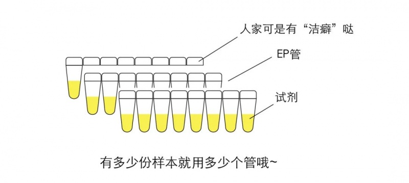 核酸检测是怎样的操作流程 看完这些你还会催核酸报告吗